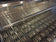 Load image into Gallery viewer, Delta Heat 26-Inch 2-Burner Built-In Gas Grill - DHBQ26G-DN/L