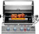 Load image into Gallery viewer, Napoleon Built-In 700 Series 32 with Infrared Rear Burner-5 Burners