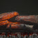 Load image into Gallery viewer, Dimplex Nova 33" Plug-In Electric Firebox - With Logs