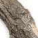 Load image into Gallery viewer, Grand Canyon Arizona Weathered Oak Vented Gas Log Set - Size 18"