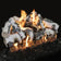Load image into Gallery viewer, Grand Canyon Quaking Aspen Vented Gas Log Set - Size 18"