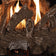 Load image into Gallery viewer, Grand Canyon Red Oak Ventless Gas Log Set - Size 24"