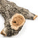 Load image into Gallery viewer, Grand Canyon Round Tall Outdoor Gas Log Set - Size 18"
