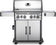 Load image into Gallery viewer, Napoleon Rogue® PRO-S 525 RSIB with Infrared Side and Rear Burner-6 Burners