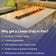 Load image into Gallery viewer, American Fire Products 36 x 6 inch stainless steel linear drop-in fire pit pan featuring 65,000 BTU maximum heat output, 304 stainless steel construction, drilled burner holes, lifetime guarantee, and weather-resistant performance.