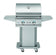 Load image into Gallery viewer, Delta Heat 26-Inch 2-Burner Freestanding Gas Grill - DHPB26-C
