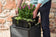 Load image into Gallery viewer, Festavolo FORTE planter box with removable plant insert being placed inside