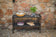 Load image into Gallery viewer, Festavolo FORTE sideboard used as a side table for serving food and drinks with a flowerpot