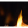 Load image into Gallery viewer, Majestic Meridian Platinum 36 inch traditional direct vent natural gas fireplace with IntelliFire Touch ignition system
