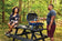 Load image into Gallery viewer, Napoleon TravelQ 240 Portable Gas Grill with 1 Burner – Compact Propane BBQ for Outdoor Cooking