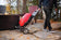 Load image into Gallery viewer, Napoleon TravelQ 285X red portable propane gas grill with scissor cart and reversible cast iron griddle, featuring 2 burners for versatile outdoor cooking