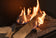 Load image into Gallery viewer, Front view of Planika FLA4 39” Logs Bioethanol Burner with decorative logs