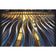 Load image into Gallery viewer, Napoleon Prestige 500 RSIB Grill with Infrared Side and Rear Burner