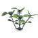 Load image into Gallery viewer, Sun Turf Hedge Plant Milan Dark Green D3
