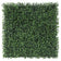 Load image into Gallery viewer, Sun Turf Hedge Plant Milan Dark Green D3