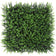 Load image into Gallery viewer, Sun Turf Hedge Plant Eucalyptus Light Green D5