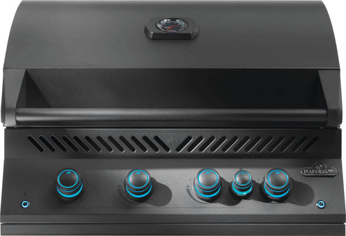 Napoleon Built-In 700 Series 32 with Infrared Rear Burner-5 Burners