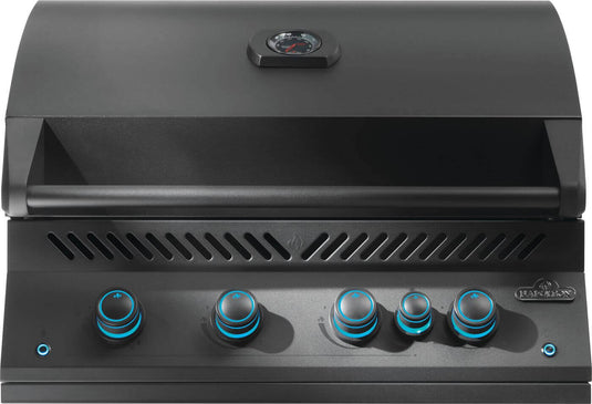 Napoleon Built-In 700 Series 32 with Infrared Rear Burner-5 Burners
