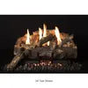 Grand Canyon Weathered Oak Single-Sided Ventless Gas Log Set - Size 24"