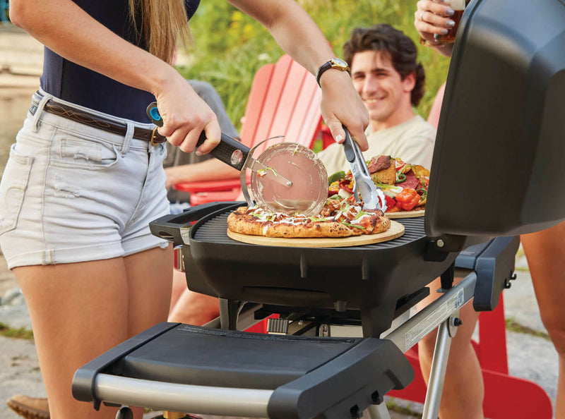 Load image into Gallery viewer, Napoleon TravelQ™ PRO285X with Scissor Cart
