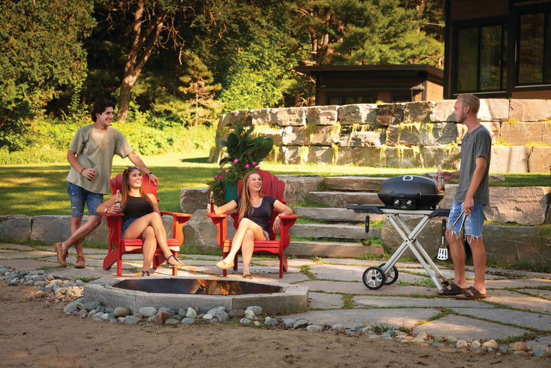 Load image into Gallery viewer, Napoleon TravelQ™ PRO285X with Scissor Cart
