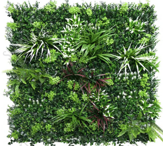 Sun Turf Hedge Plant Shui Mu Qing Hua -3D