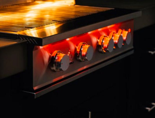 TrueFlame 32" 4-Burner Built-In Gas Grill