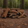 Load image into Gallery viewer, American Fire Products Formation Creation Country Oak ceramic gas fire pit logs 9 piece set displayed in a natural outdoor jungle background showing realistic oak textures and handcrafted design
