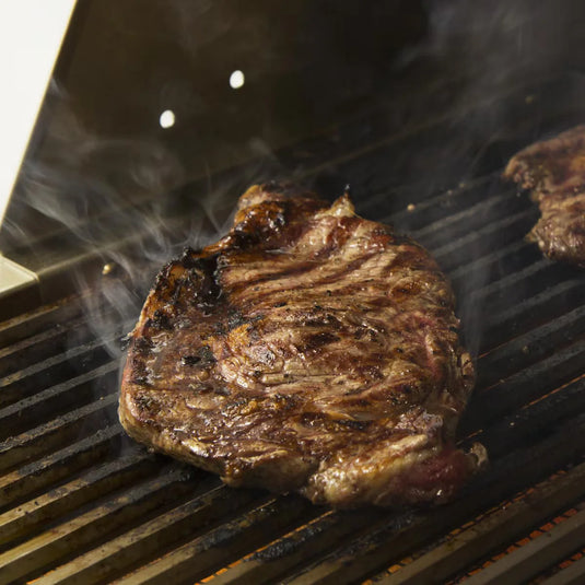 Blaze Infrared Searing Burner for Professional LUX Gas Grills