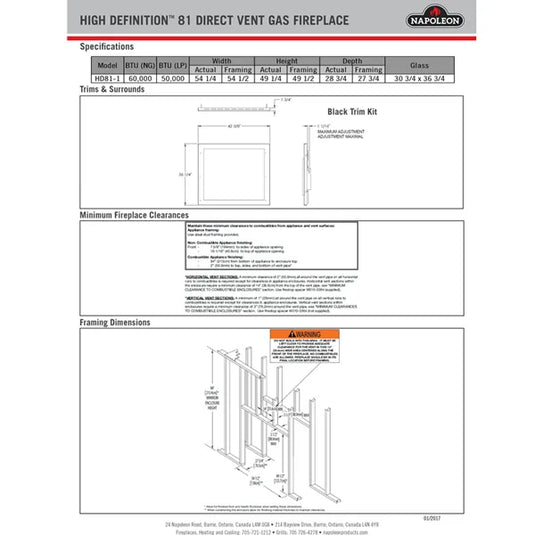 Napoleon High Definition 81 See-Thru Direct Vent Fireplace