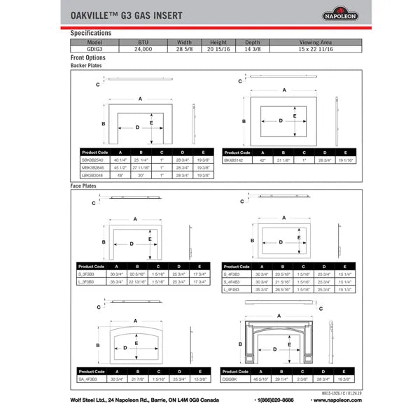 Load image into Gallery viewer, Napoleon Oakville GDIG3 Direct Vent Gas Fireplace Insert
