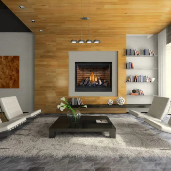 Load image into Gallery viewer, Napoleon HD46 High Definition Direct Vent Gas Fireplace
