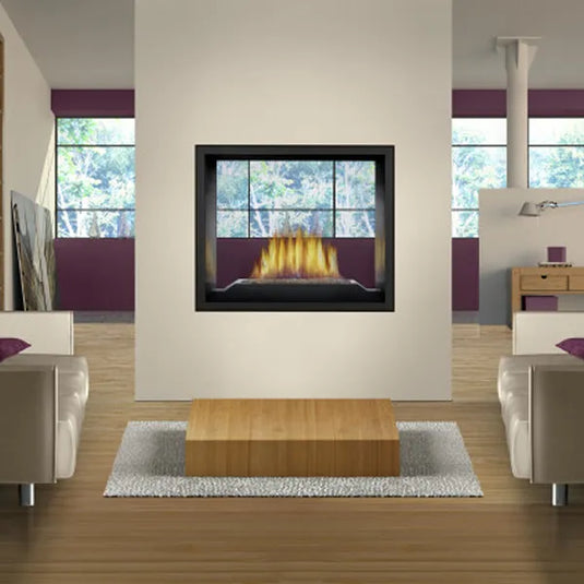 Napoleon High Definition 81 See-Thru Direct Vent Fireplace