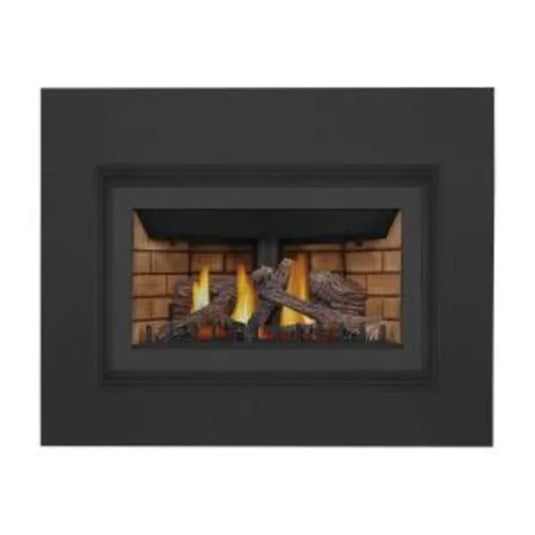 Napoleon Inspiration ZC Direct Vent Gas Fireplace Insert