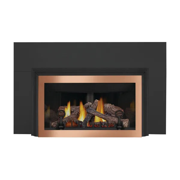 Load image into Gallery viewer, Napoleon Inspiration ZC Direct Vent Gas Fireplace Insert
