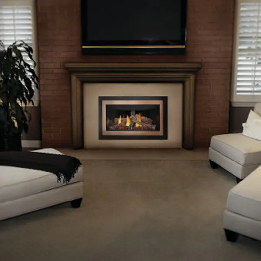 Napoleon Inspiration ZC Direct Vent Gas Fireplace Insert