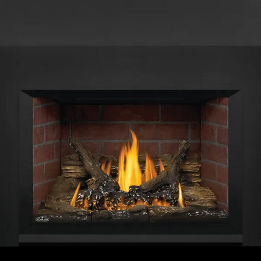 Napoleon Oakville GDI3 Direct Vent Gas Fireplace Insert