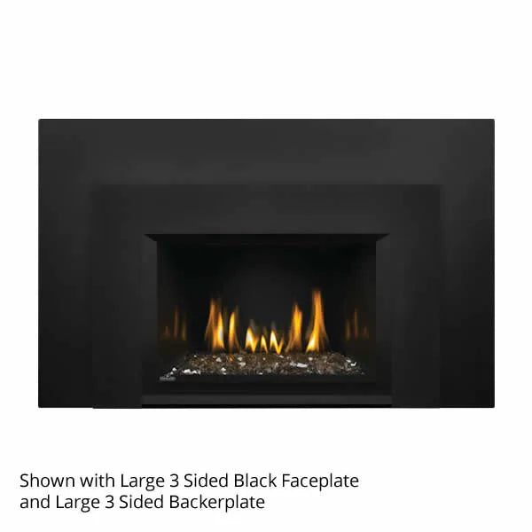 Load image into Gallery viewer, Napoleon Oakville GDIG3 Direct Vent Gas Fireplace Insert
