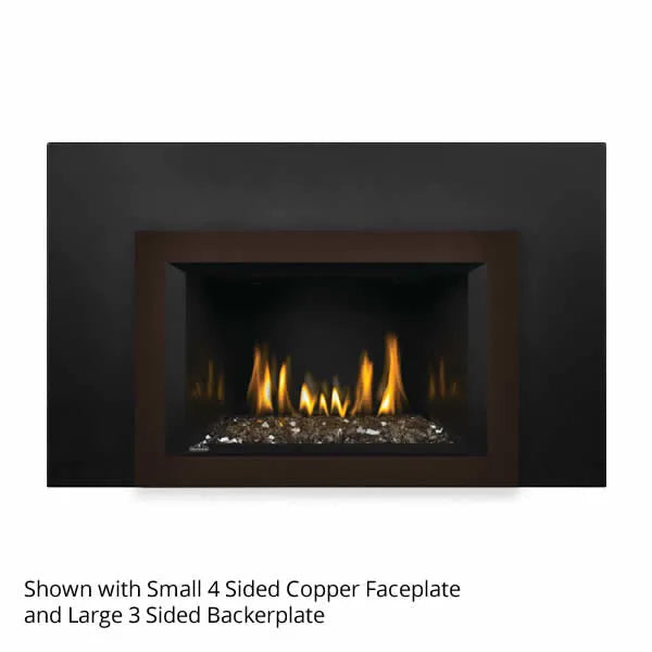 Load image into Gallery viewer, Napoleon Oakville GDIG3 Direct Vent Gas Fireplace Insert
