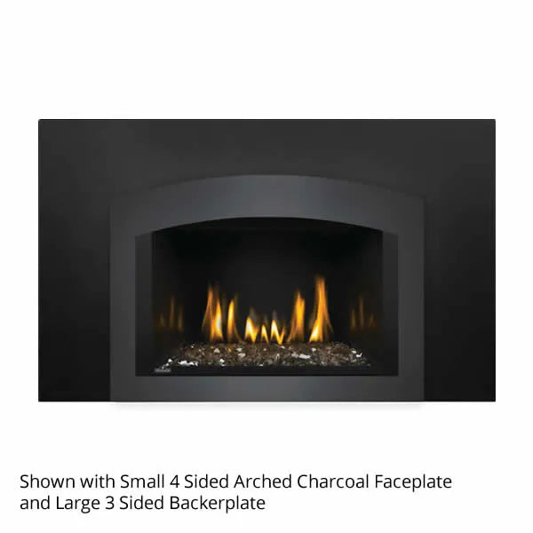 Load image into Gallery viewer, Napoleon Oakville GDIG3 Direct Vent Gas Fireplace Insert
