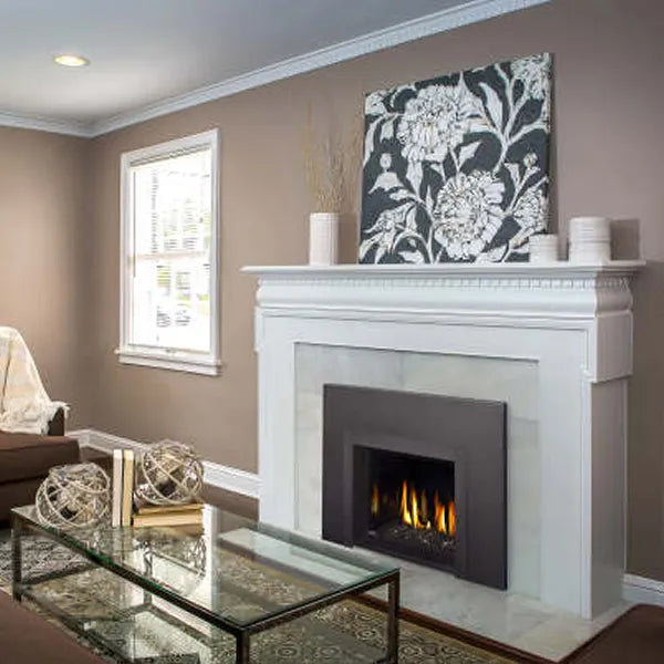 Load image into Gallery viewer, Napoleon Oakville GDIG3 Direct Vent Gas Fireplace Insert
