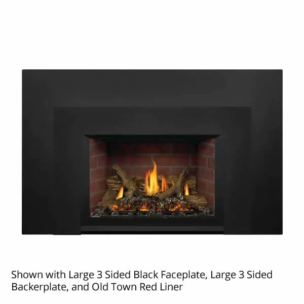 Load image into Gallery viewer, Napoleon Oakville GDIX3 Direct Vent Gas Fireplace Insert
