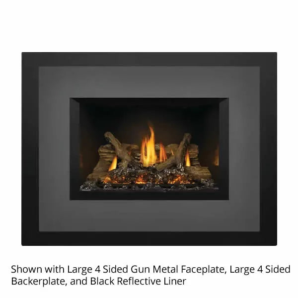 Load image into Gallery viewer, Napoleon Oakville GDIX3 Direct Vent Gas Fireplace Insert
