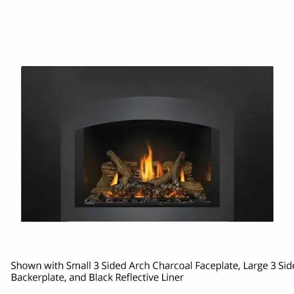 Load image into Gallery viewer, Napoleon Oakville GDIX3 Direct Vent Gas Fireplace Insert
