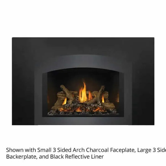 Napoleon Oakville GDIX3 Direct Vent Gas Fireplace Insert