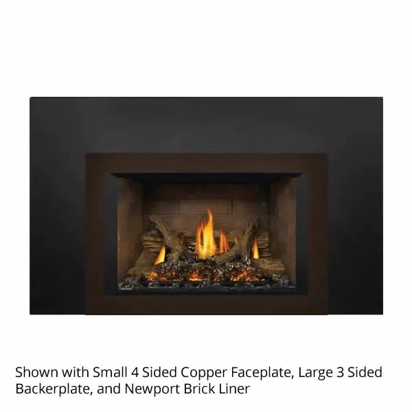 Load image into Gallery viewer, Napoleon Oakville GDIX3 Direct Vent Gas Fireplace Insert
