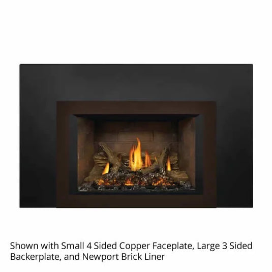 Napoleon Oakville GDIX3 Direct Vent Gas Fireplace Insert