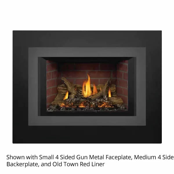 Load image into Gallery viewer, Napoleon Oakville GDIX3 Direct Vent Gas Fireplace Insert
