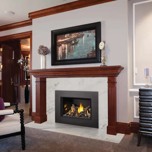 Load image into Gallery viewer, Napoleon Oakville GDIX3 Direct Vent Gas Fireplace Insert
