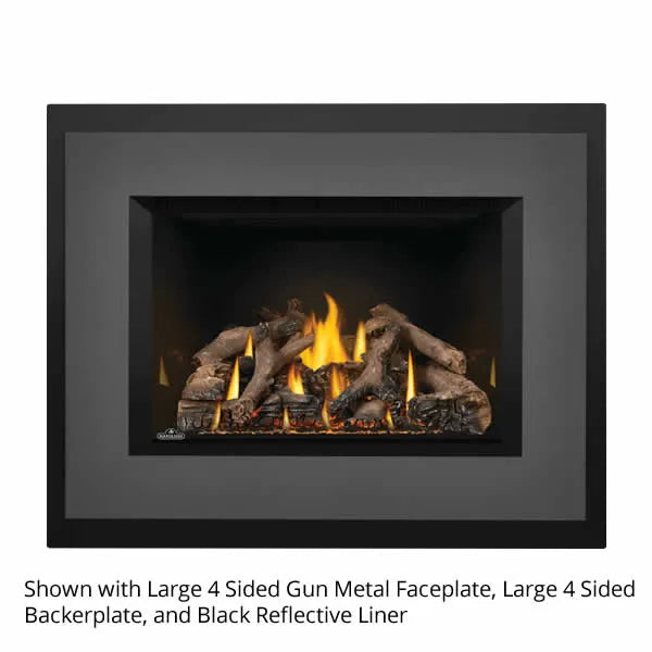 Load image into Gallery viewer, Napoleon Oakville GDIX4 Direct Vent Gas Fireplace Insert
